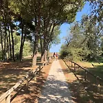 Buona Mobile Homes On Mare E Pineta *