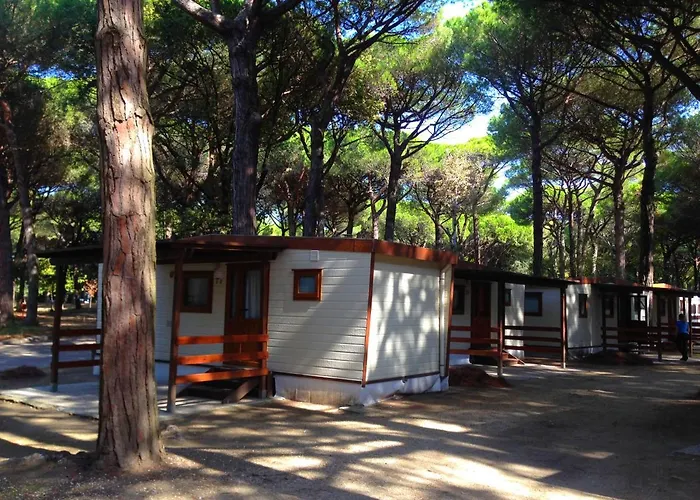 Buona Mobile Homes On Mare E Pineta 아파트 리도 디 스피나