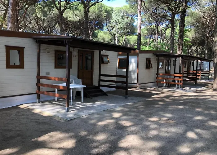 Buona Mobile Homes On Mare E Pineta 아파트 *